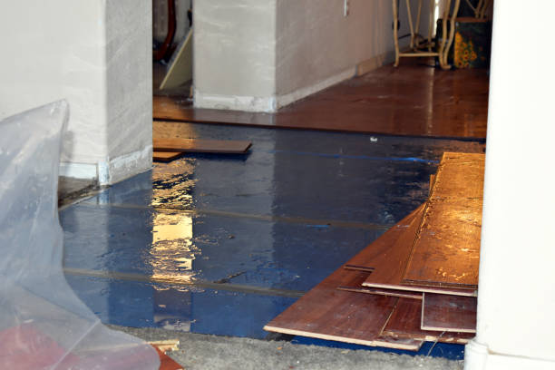 Professional Basement Flooding technician working in Hampton, VA